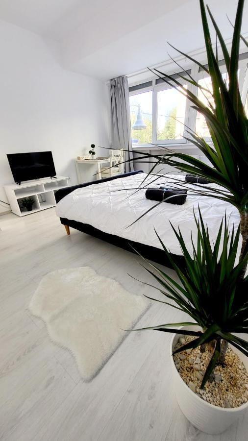 Victoriei Central Studio Apartment Bucureşti Exterior foto